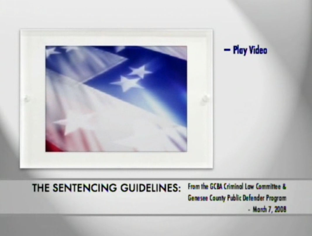 The Sentencing Guidelines